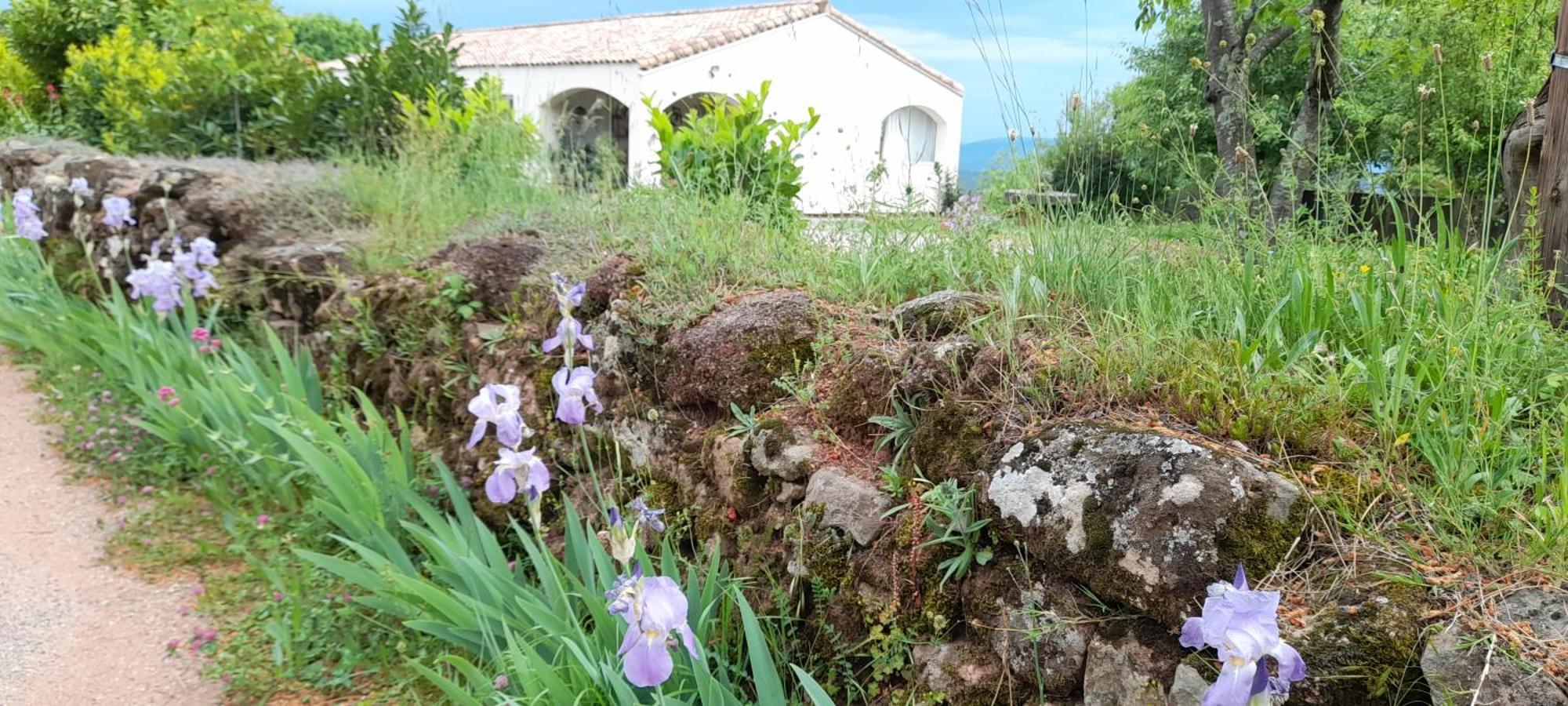 Le Chausse A Bres Chambre D'Hotes 1 Payzac  Экстерьер фото